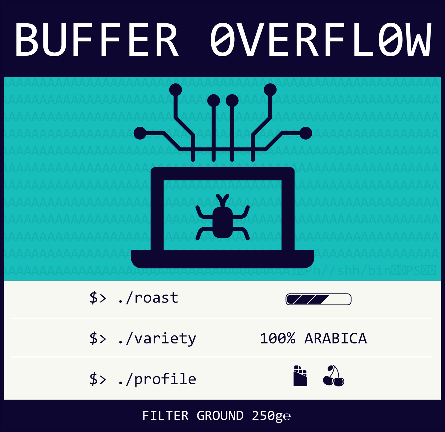 Buffer Overflow - 0xC0FFEE